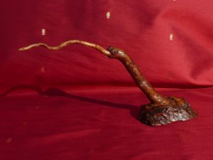 Mangeur de serpent