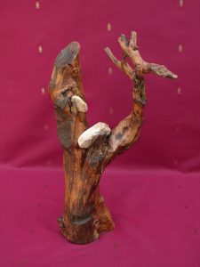 Des cailloux perchés sur un arbre