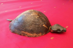 Tortue