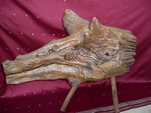 Le sanglier