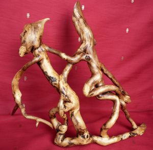 Farandole
