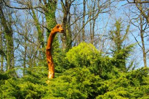 Le monstre du Loch Ness
