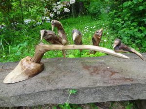 Des oiseaux perchés sur un bec