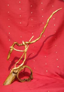 Charmeur de serpent