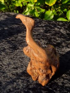 Cormoran