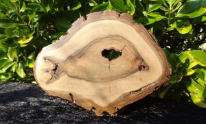Poisson de bois